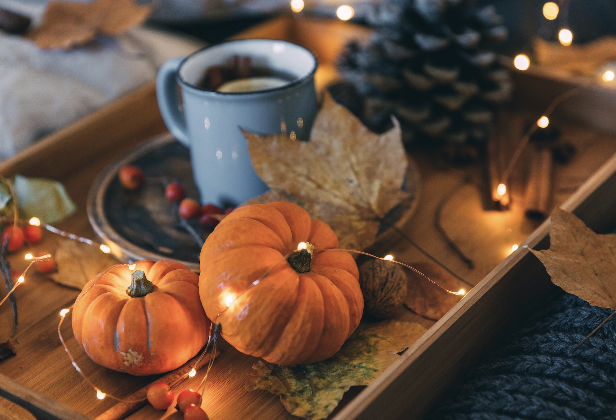 Fall Home Décor Trends 2022